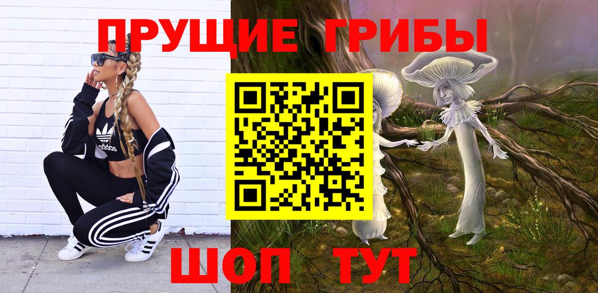 Псилоцибиновые грибы прущие грибы Канаш