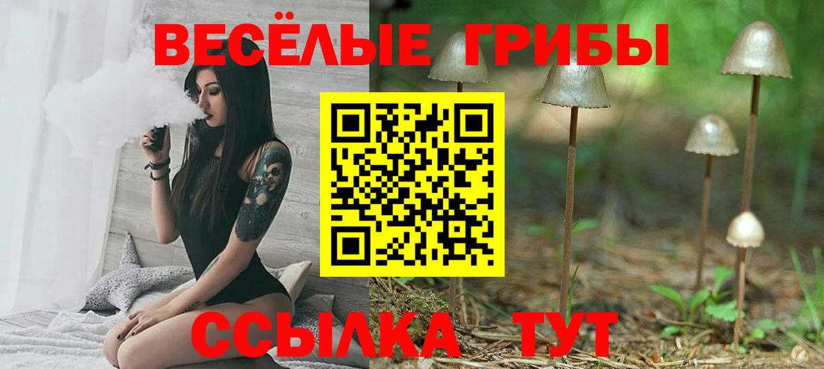Канаш  Галлюциногенные грибы прущие грибы  Вход с VPN  Галлюциногенные грибы Cubensis 